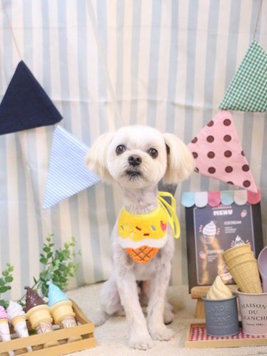 20250501むぎまるくん